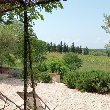 Villa Bastide au milieu des vignes et des oliviers Aups Extérieur photo