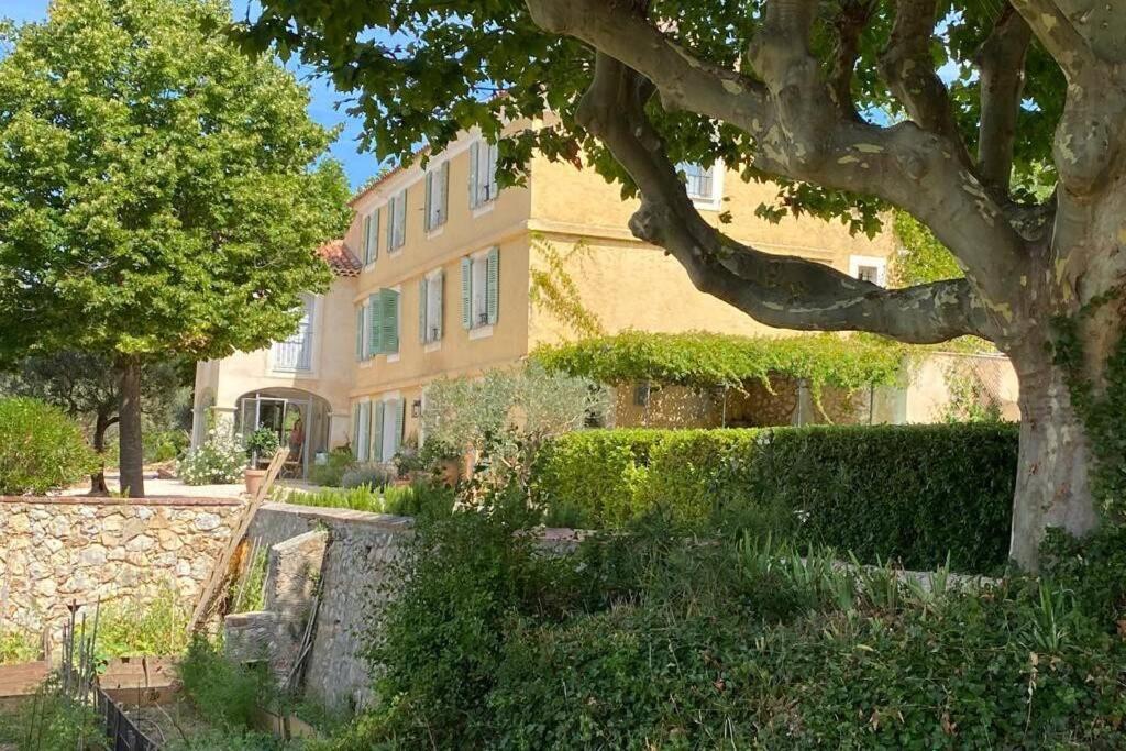 Villa Bastide au milieu des vignes et des oliviers Aups Extérieur photo