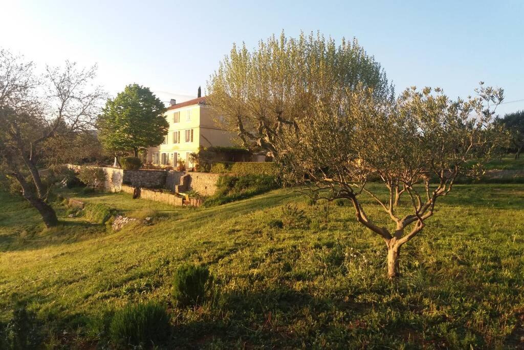 Villa Bastide au milieu des vignes et des oliviers Aups Extérieur photo