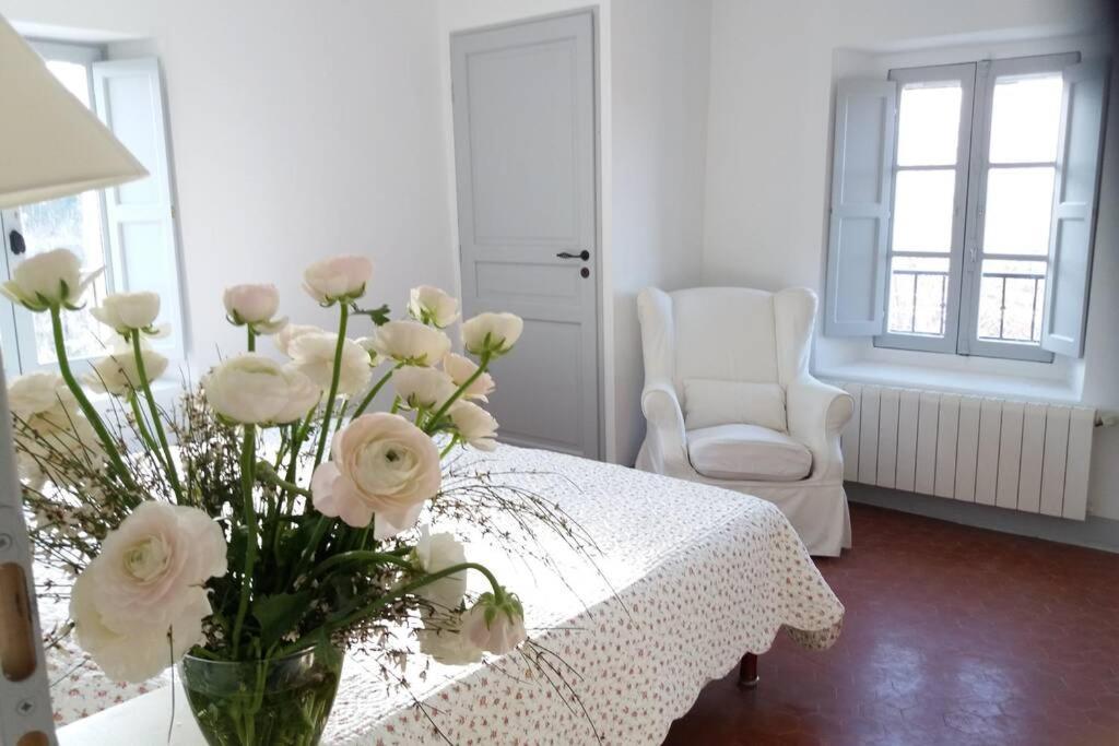 Villa Bastide au milieu des vignes et des oliviers Aups Extérieur photo