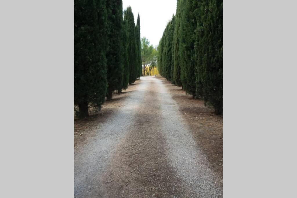 Villa Bastide au milieu des vignes et des oliviers Aups Extérieur photo
